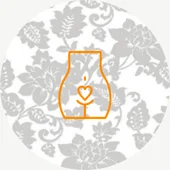 האגן&nbsp; התגובה הפיזית